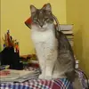 Отзыв от Наиля Щеглова